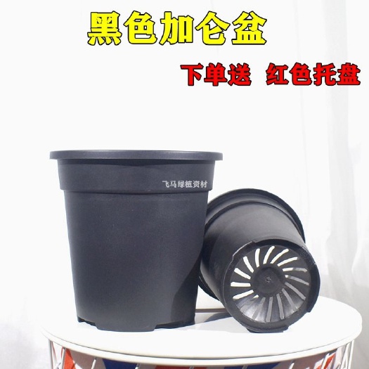 佛山塑料盆 黑色加仑盆 种植盆