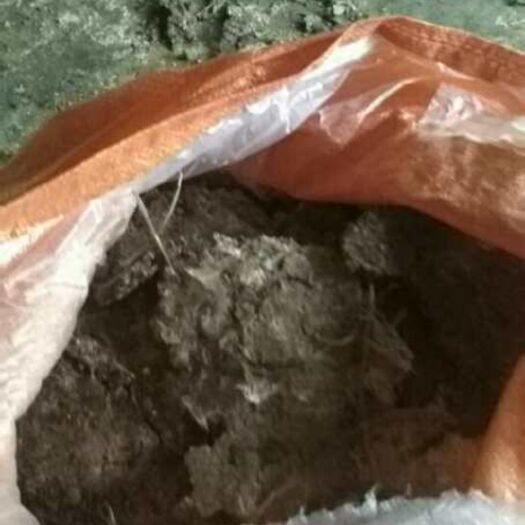 佛山 广佛肇地区 大量供应鲜鸡粪肥