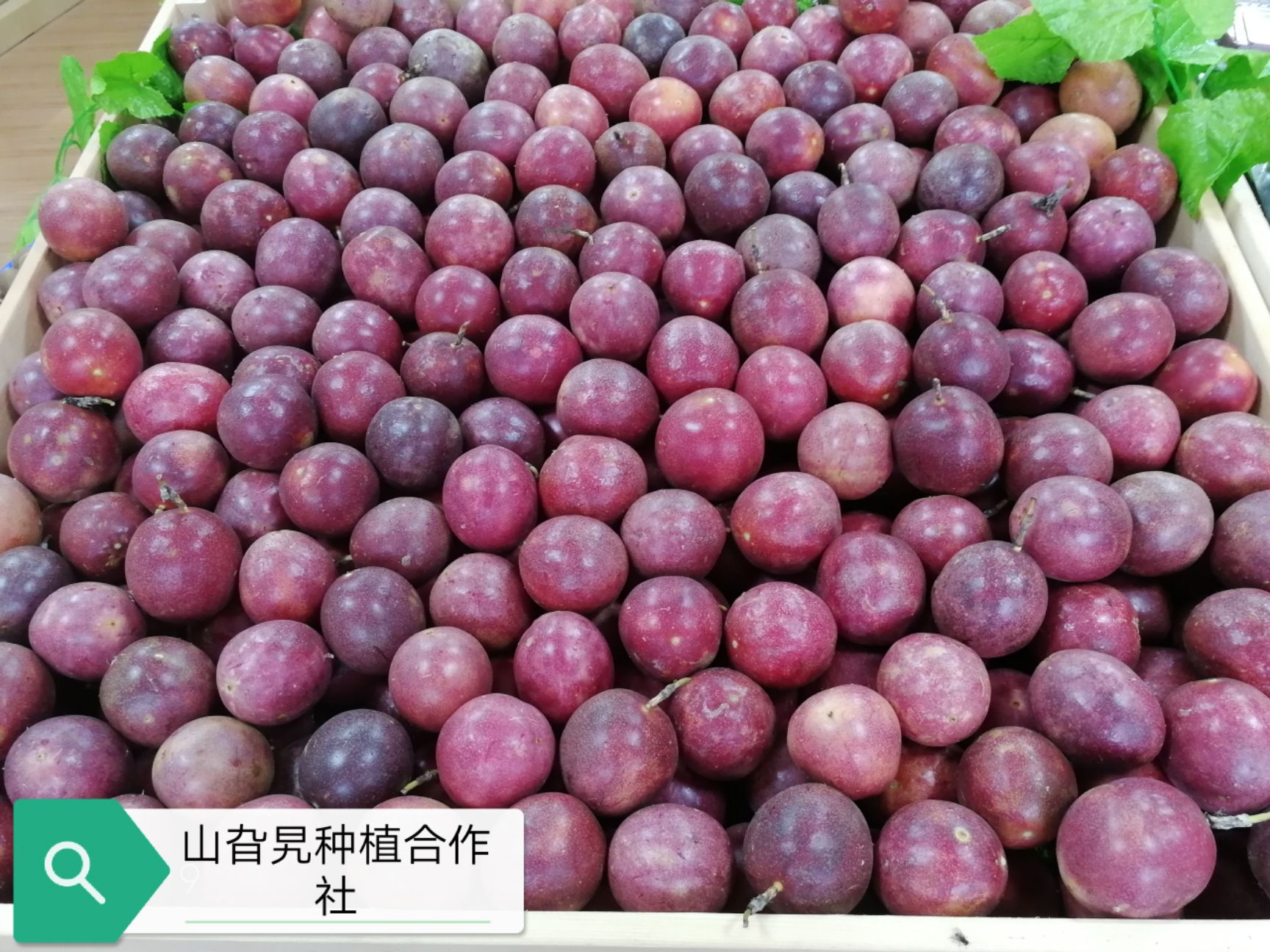  【百香果 】甜酸开胃， 浓郁果香 农场直接发货