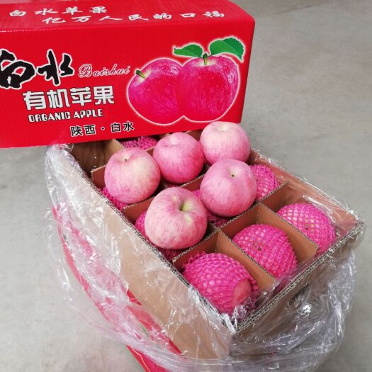 白水县 白水苹果亿万人民的口福