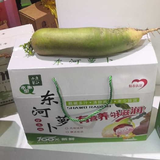 铁力市 扶贫萝卜销售