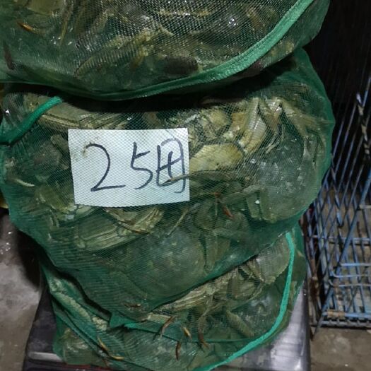 常熟市生态大闸蟹  清水大闸蟹