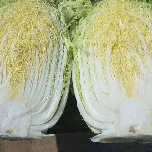 长岭县黄心白菜种子 吉林白菜涨价了！