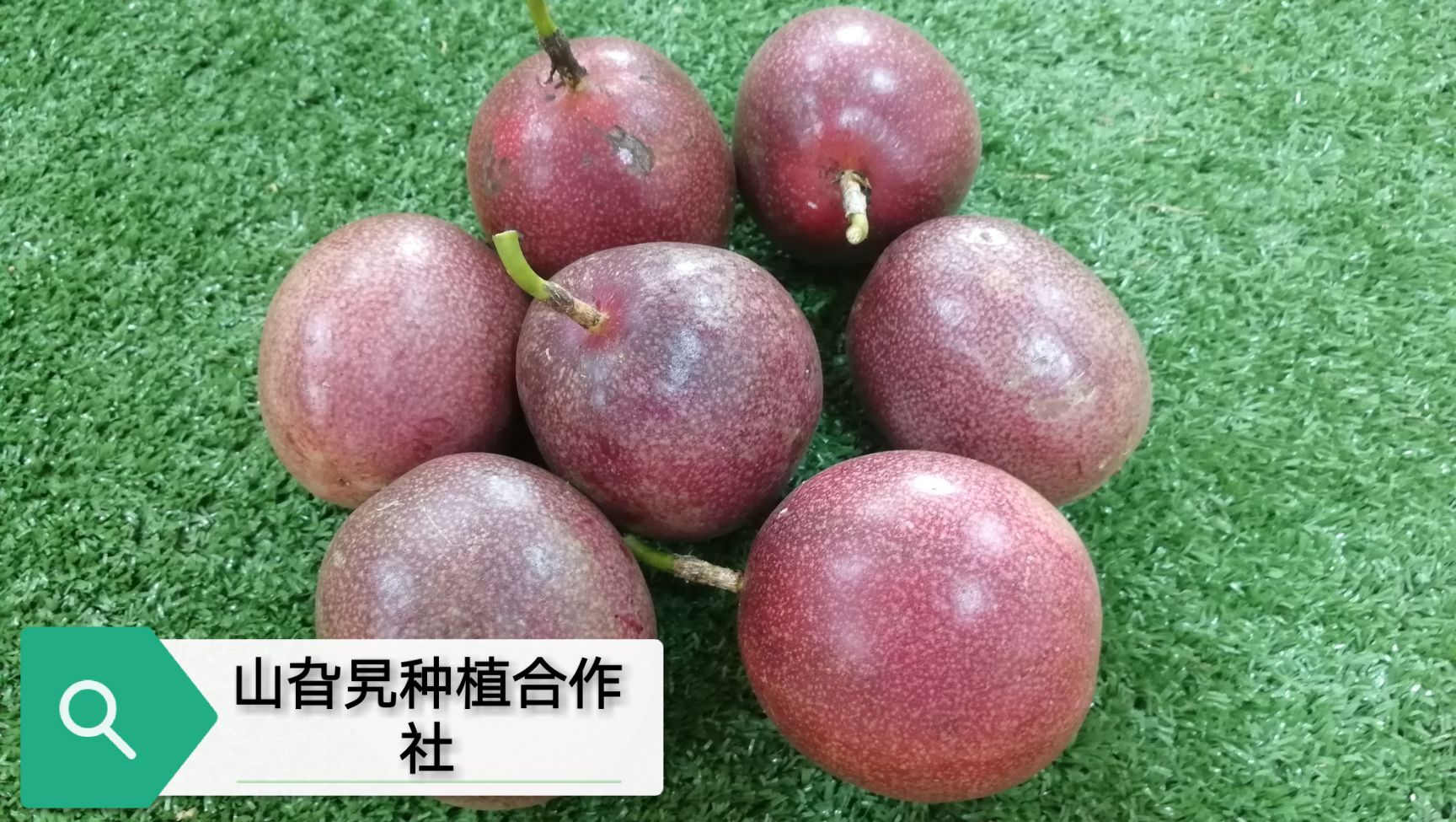  【百香果 】甜酸开胃， 浓郁果香 农场直接发货