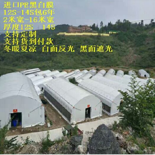 沭阳县地膜  黑白膜养殖膜养殖大棚膜防晒加厚隔热反光膜黑白隔热膜养