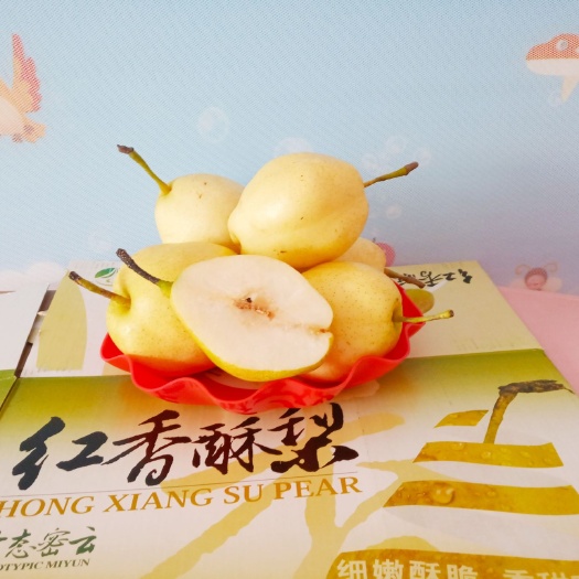 北京 批发~‘梨’中精品，特级『红香酥梨』纯无公害水果 及鸭梨