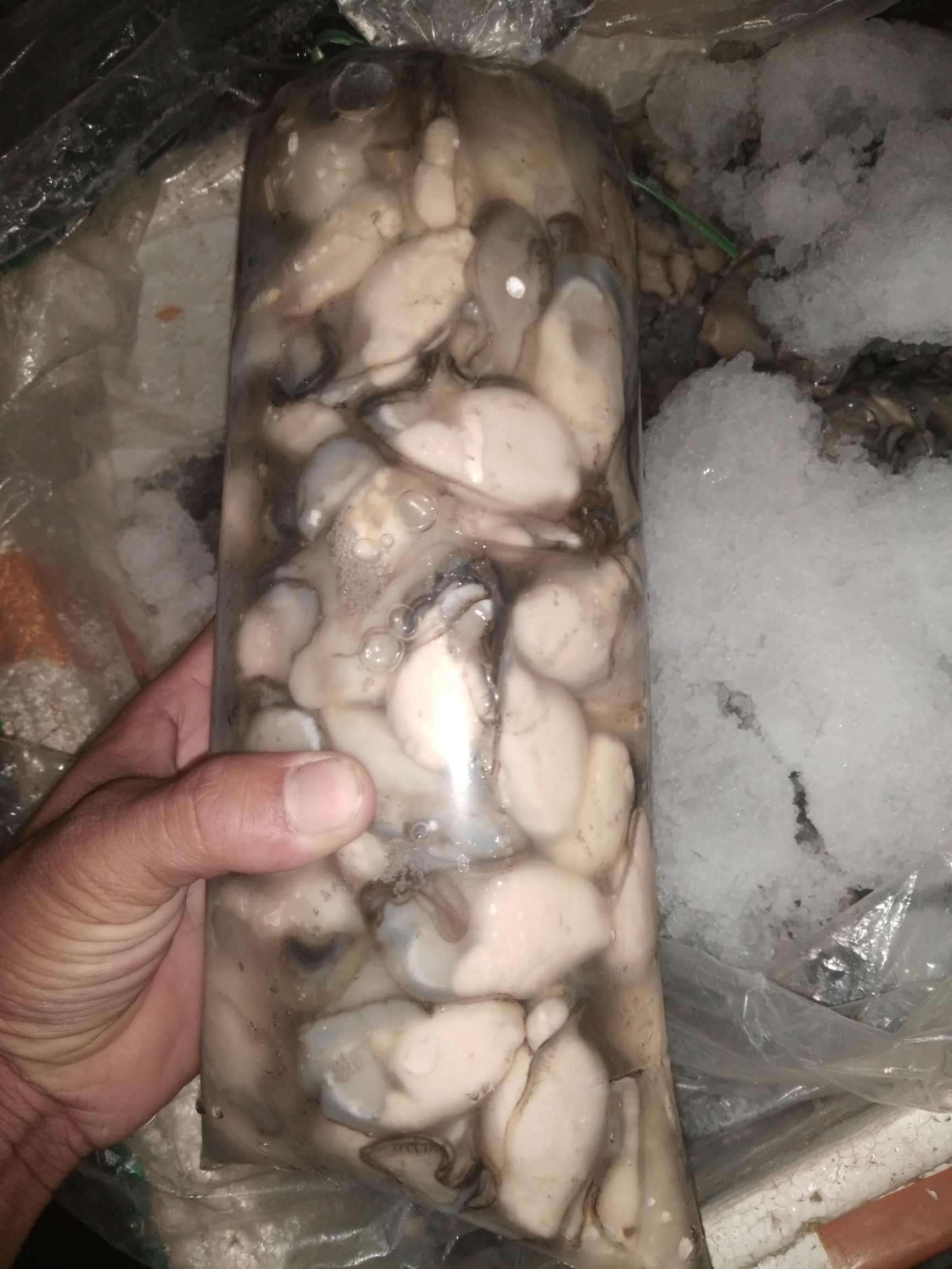  牡蛎生蚝去壳生蚝肉海蛎子鲜活