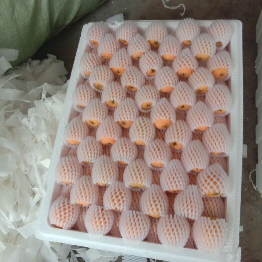 米易县 枇杷.米易易品鲜合作社直供，诚信第一，质量有保证
