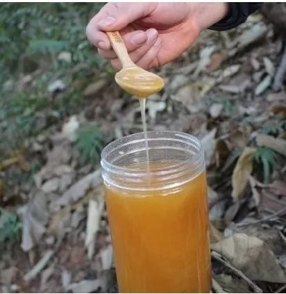 贞丰县土蜂蜜 98% 2年以上 塑料瓶装