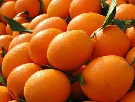 道县 湖南道州知名品牌，道州脐橙天然无污染绿色健康。