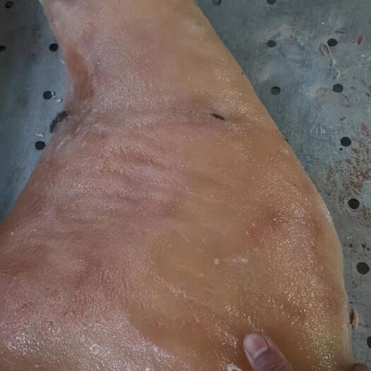 阳信县 牛皮块，纯手工刀削毛。剂