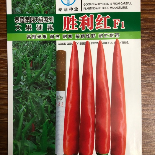 南靖县朝天椒种子 中早熟 大果 硬果 单生  颜色艳红亮丽