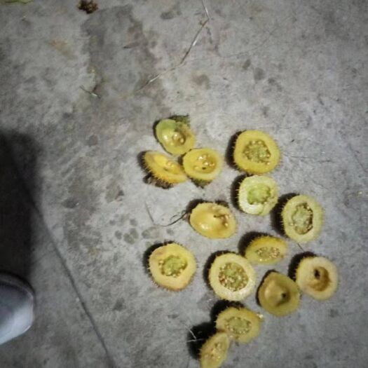 都匀市金刺梨 刺梨晒干果