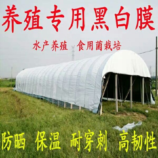 沭阳县黑白膜养殖膜养殖大棚膜防晒加厚隔热反光膜黑白隔热膜养鸡大棚膜