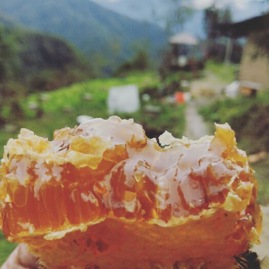 岚皋县野生蜂蜜 大量批发老巢蜜