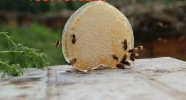 呼图壁县 来自新疆天然绿色的食品～黑蜂蜜（沙棘蜜、海棠蜜、）、巢蜜