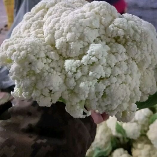 天门市散花，松花菜，诚信经营欢迎来电