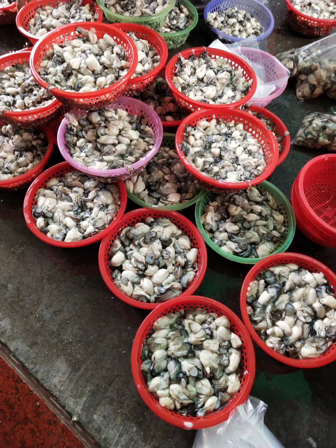  牡蛎生蚝去壳生蚝肉海蛎子鲜活