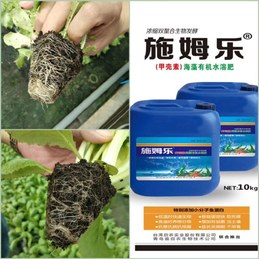 济南甲壳素肥  甲壳素海藻鱼蛋白水溶肥