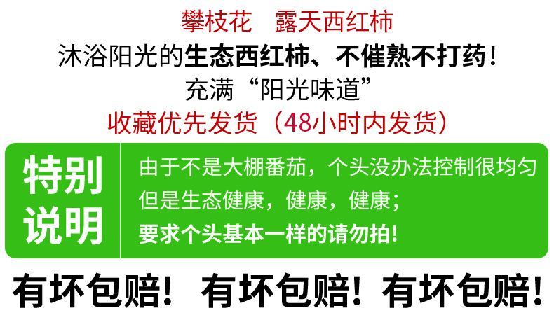 粉果番茄  西红柿