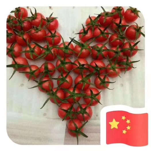 新绛县甜珍珠
