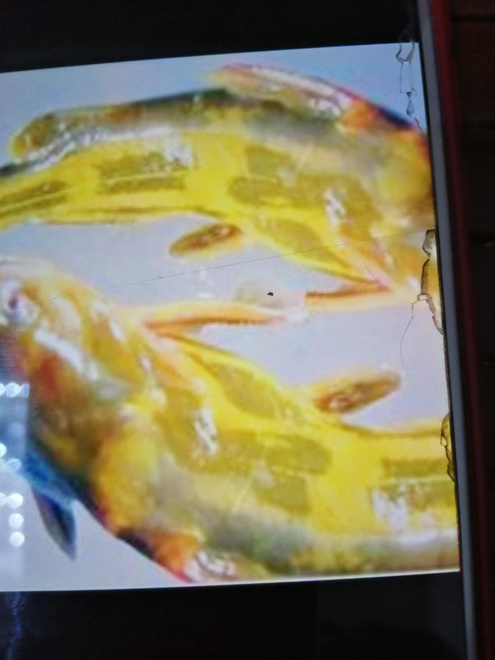  草鱼苗，各种鱼苗，及名贵鱼，品种纯，成活率高，可送货上门