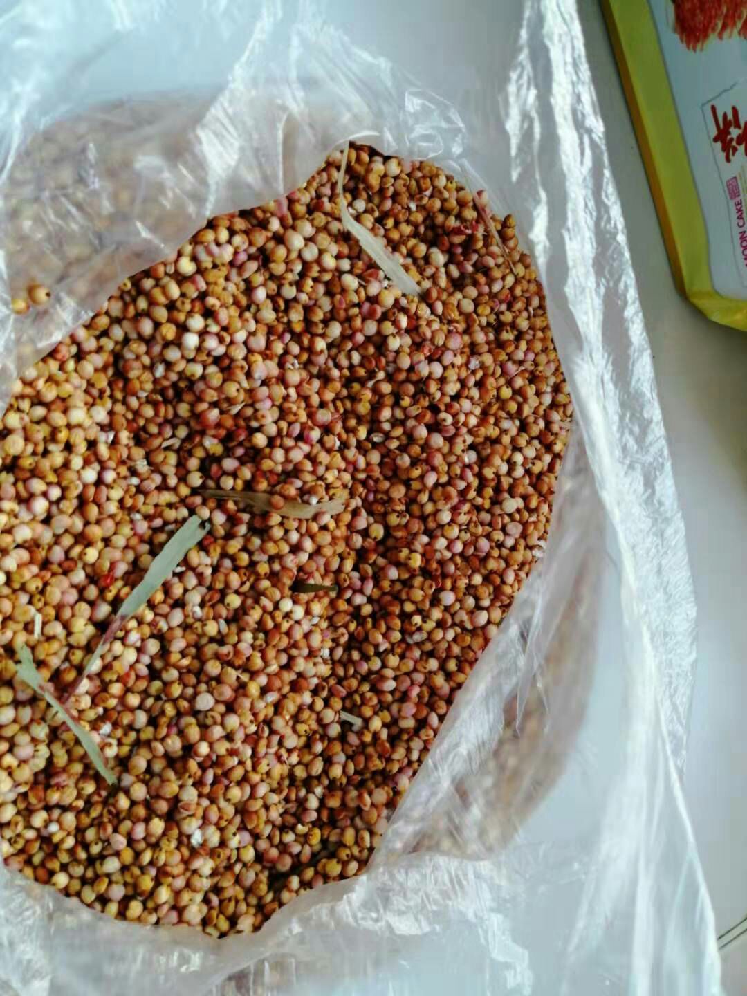 红缨子高粱 2等品 霉变 ≤1%