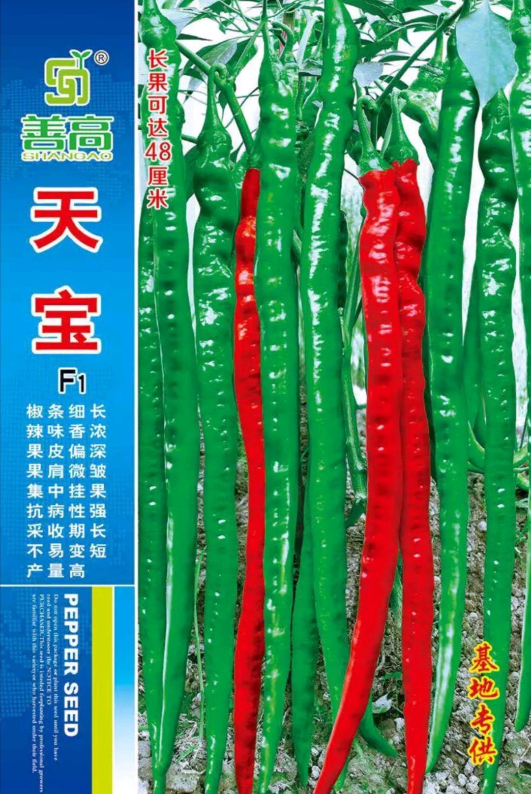  【天宝】一代杂交辣椒种子超长线椒种子果实可达46厘米大田用