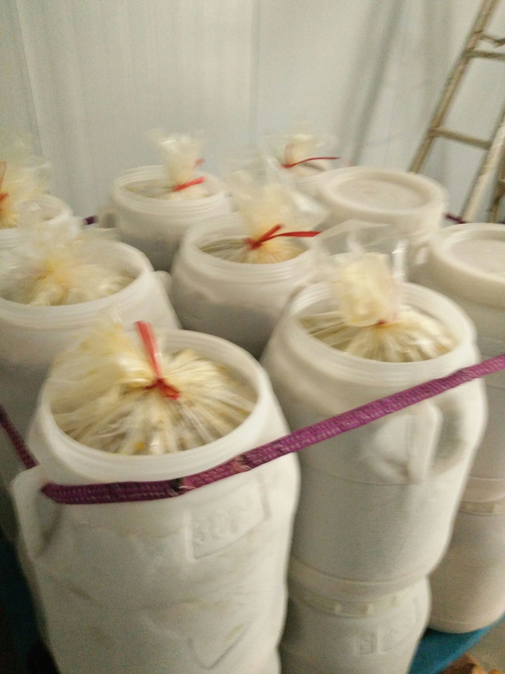  百香果酱 百香果汁广西新鲜百香果肉原浆果酱奶茶店专用4斤包