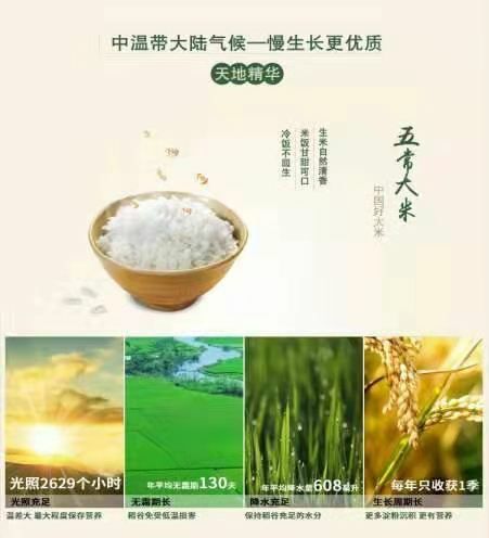 稻花香二号大米 一等品 一季稻 粳米