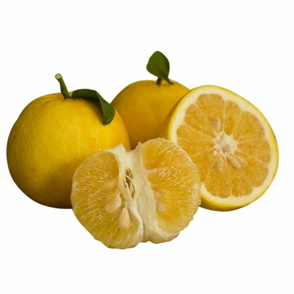  葡萄柚当季新鲜福建漳州水分足口感好纯甜不酸含水超过50%