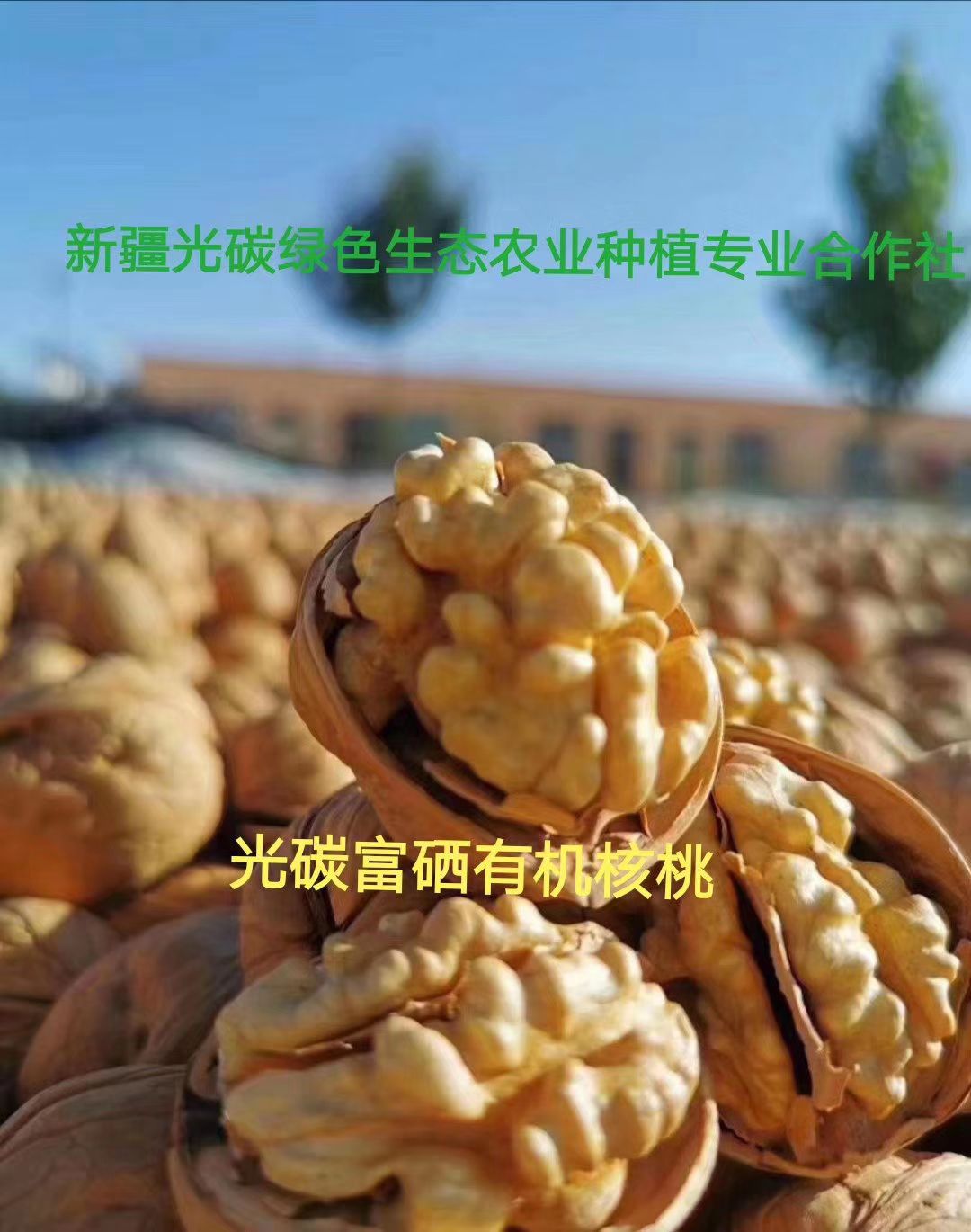 有机核桃 26~30mm 去皮 箱装