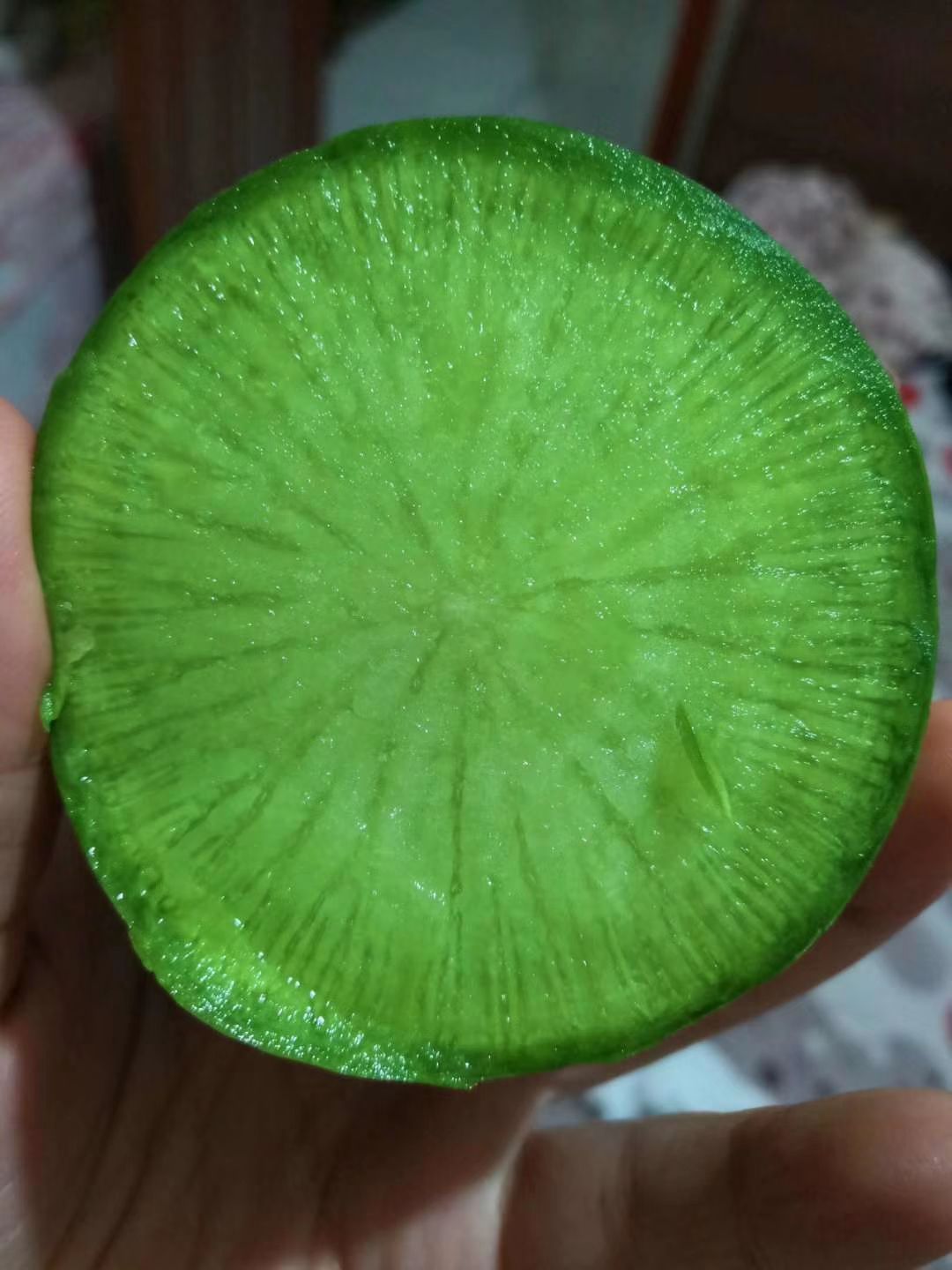 沙窝萝卜 天津特产