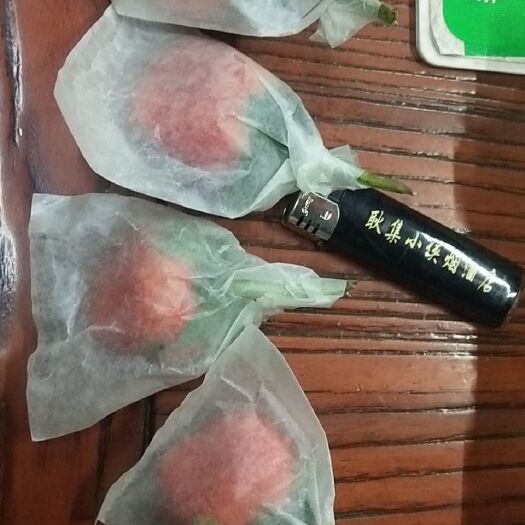 徐州 草莓上市了