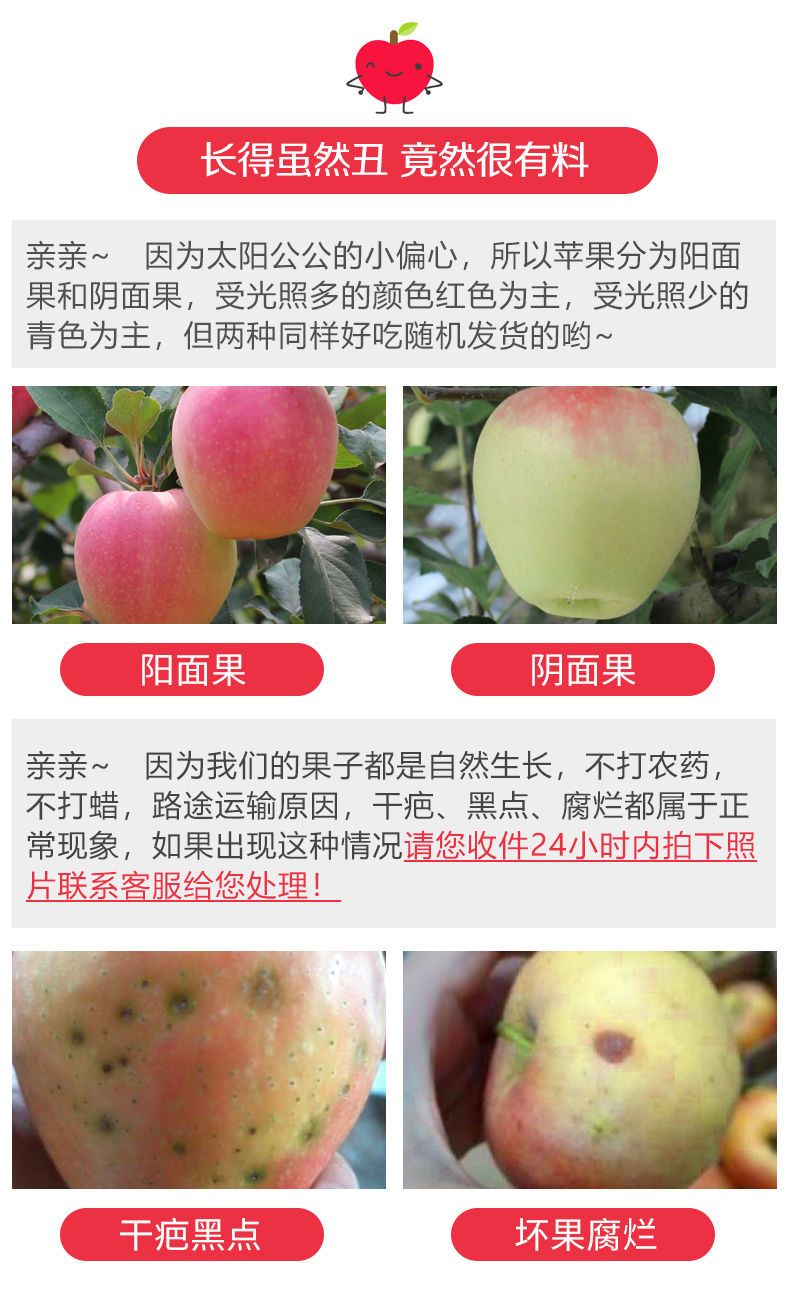 红富士苹果  【红富士包邮试吃】山东富士出口转内销好苹果抢购