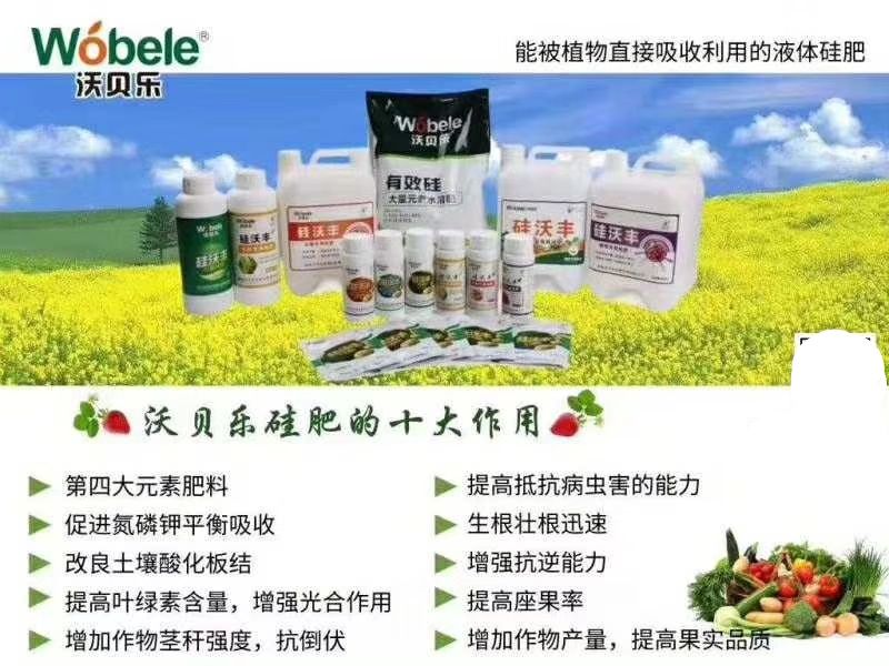 叶面肥料 多功能有机硅肥