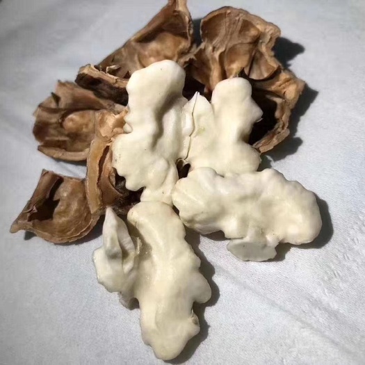 左权县山核桃 自家种植
