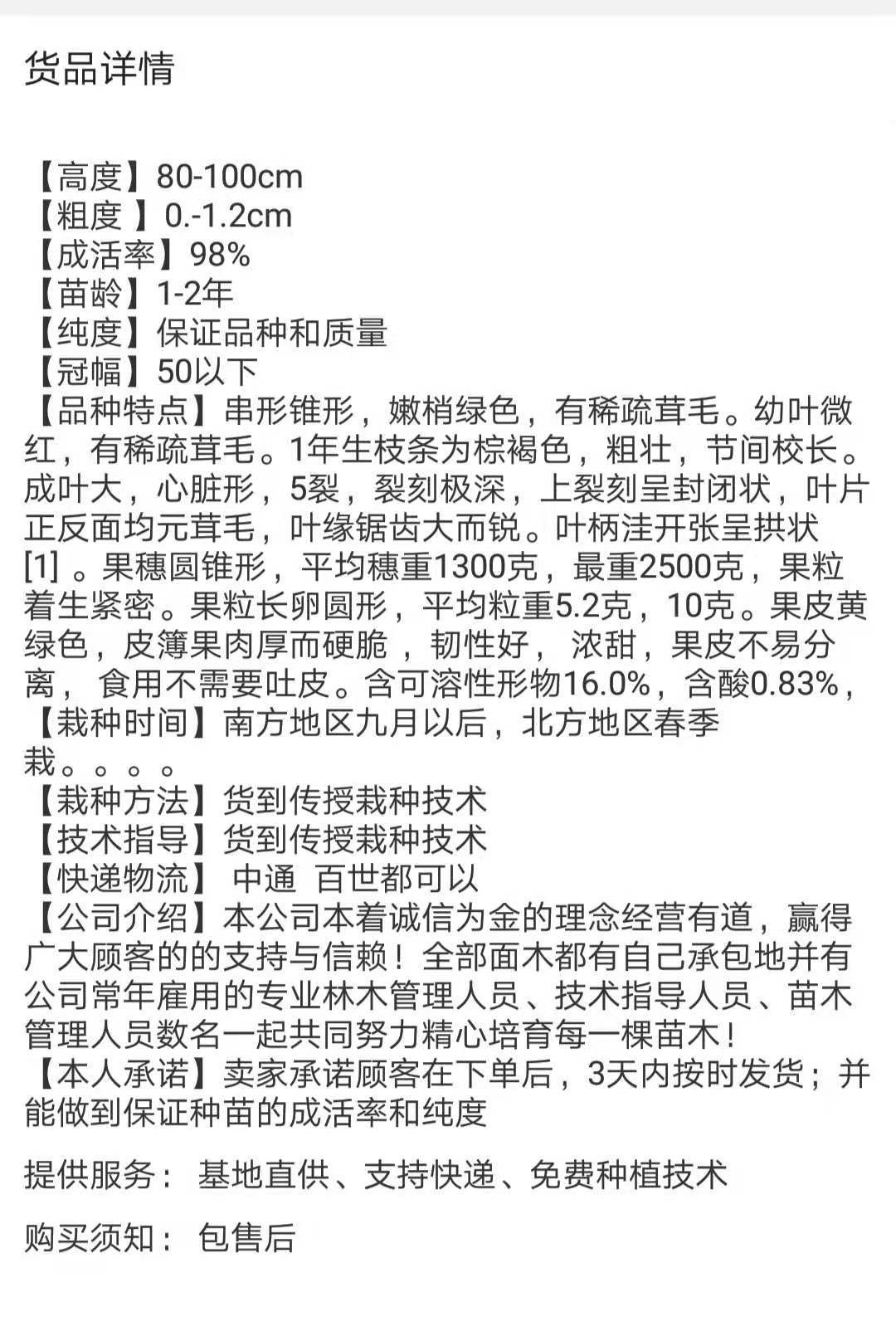  浪漫红颜葡萄苗，天然无核品种纯正，基地直销，现挖现卖