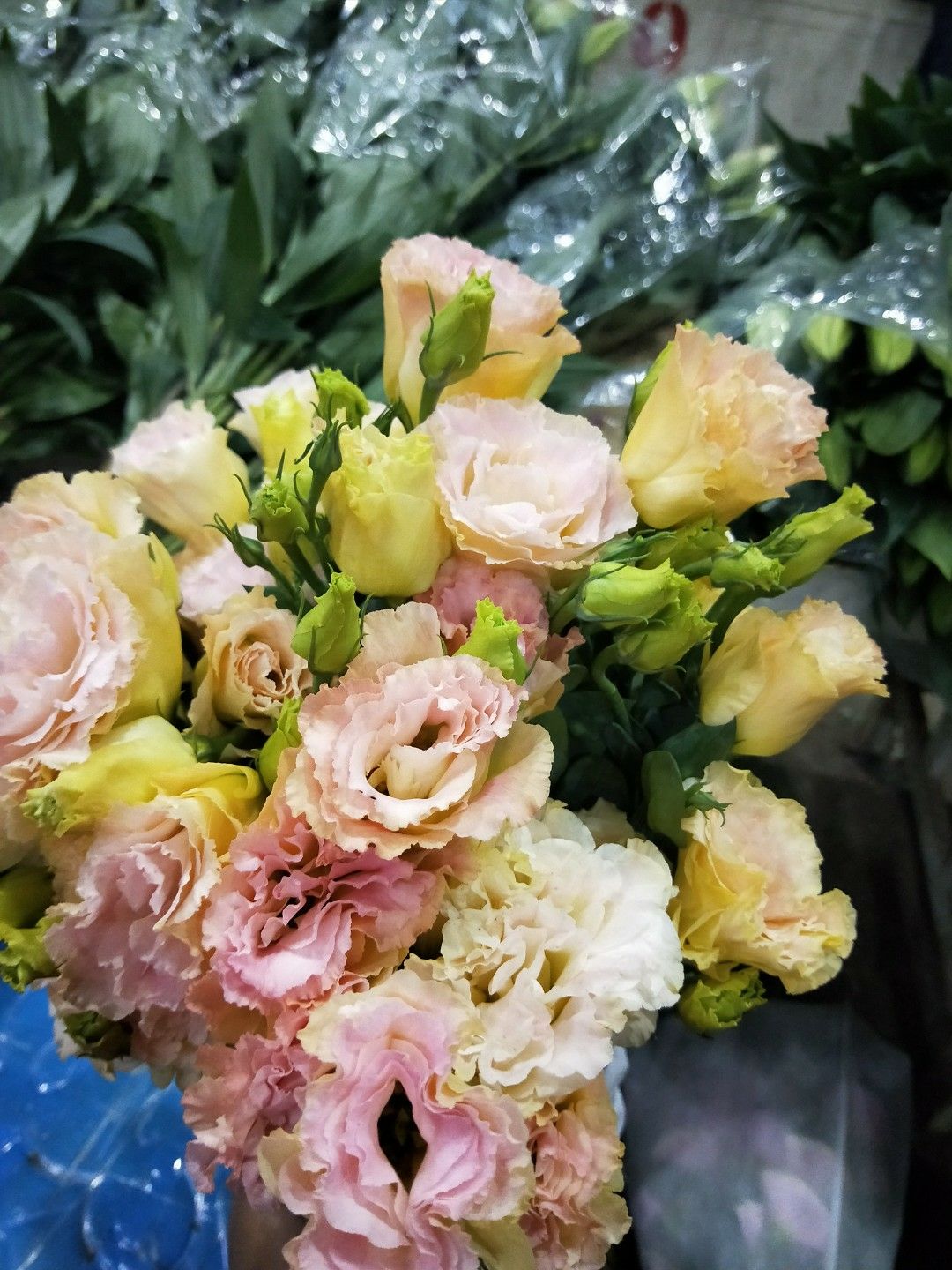 昆明鲜花批发，优质鲜花，洋桔梗