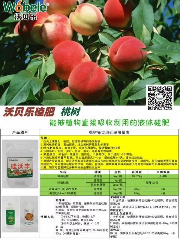 硅肥冲施肥叶面肥