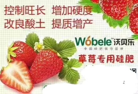 叶面肥料 多功能有机硅肥