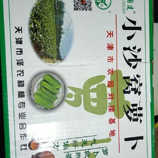 天津沙窝萝卜 天津特产