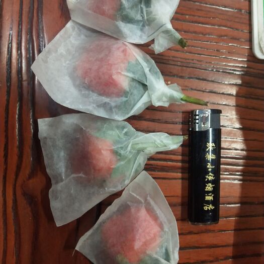 徐州 草莓开始上市了