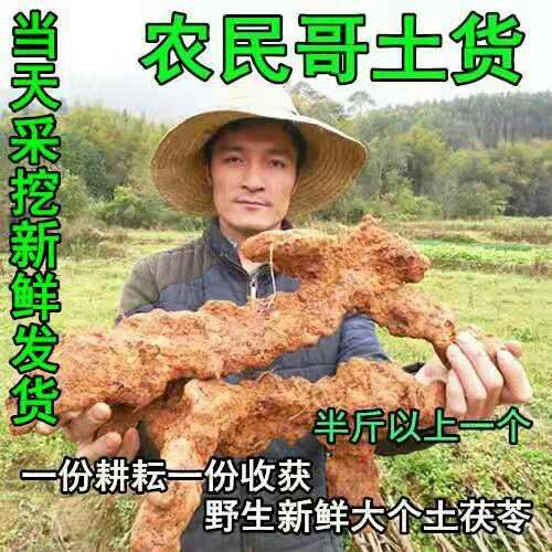宣汉县土茯苓