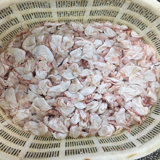 丹江口市 大量供应花白鲢鱼泡