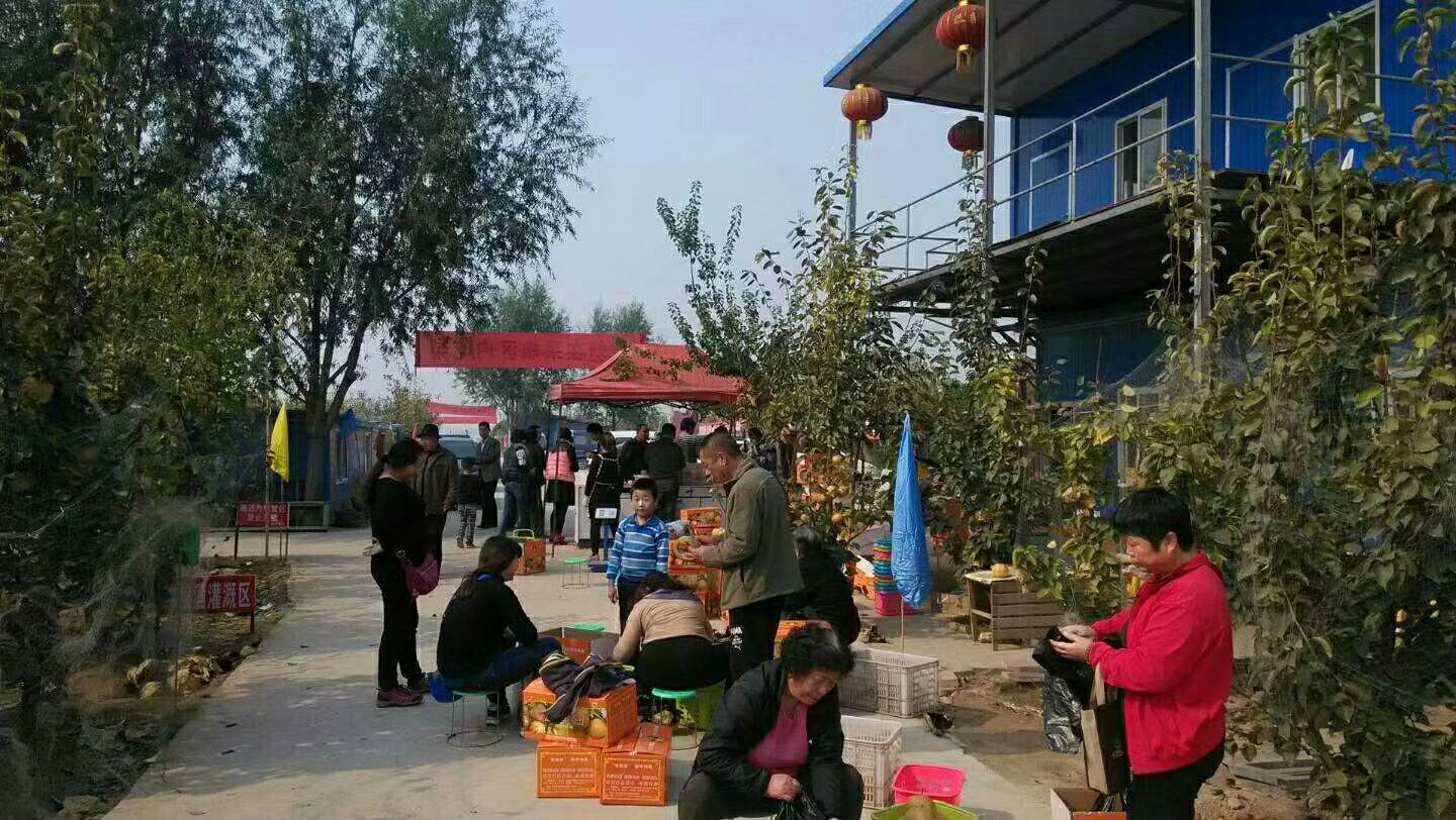  傻嫩蜜梨