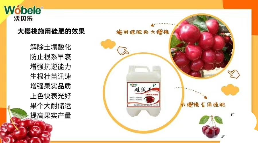 叶面肥料 多功能有机硅肥
