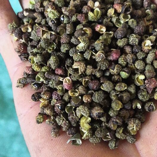 鹤庆县青花椒 青椒转红椒，价格便宜，3000多斤