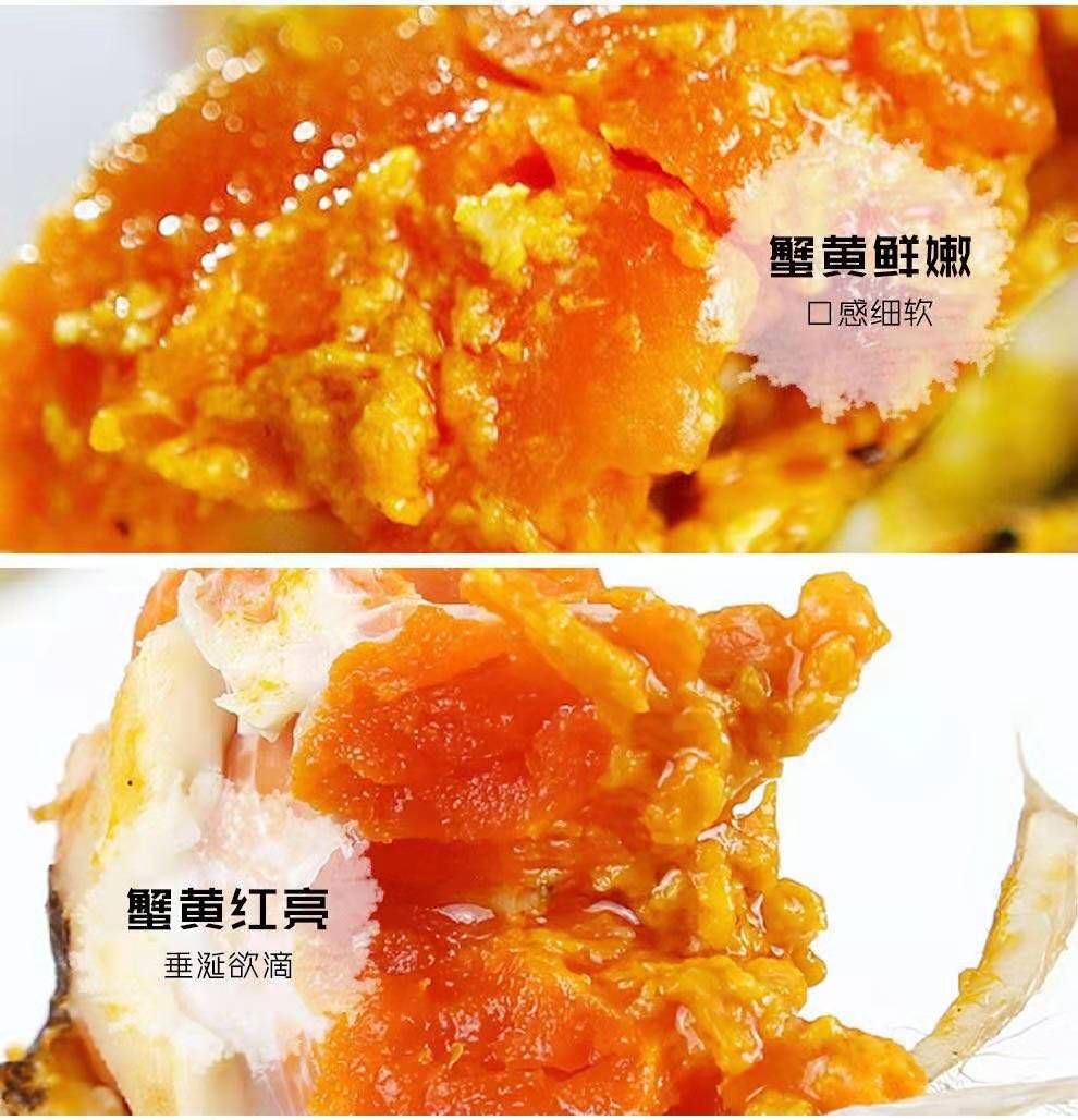 安徽螃蟹  安徽红膏大闸蟹