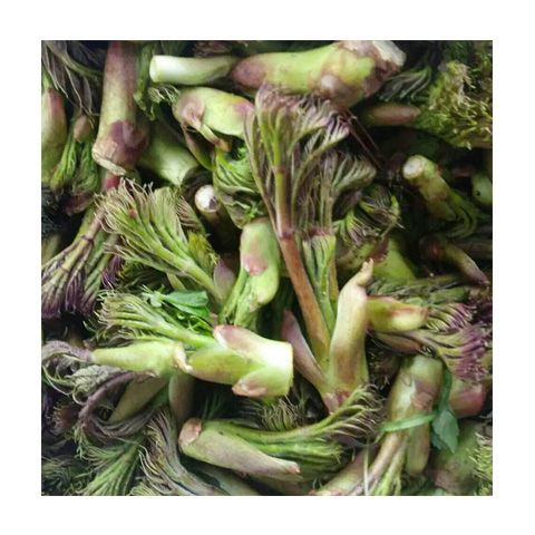  东北山野菜刺嫩芽刺老芽 新鲜野生刺老芽绿色健康袋装保鲜包邮